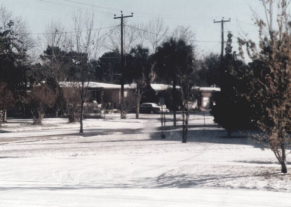1977: Snowfall in Miami